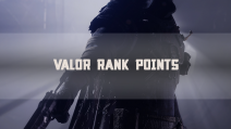 VALOR RANK POINTS x100